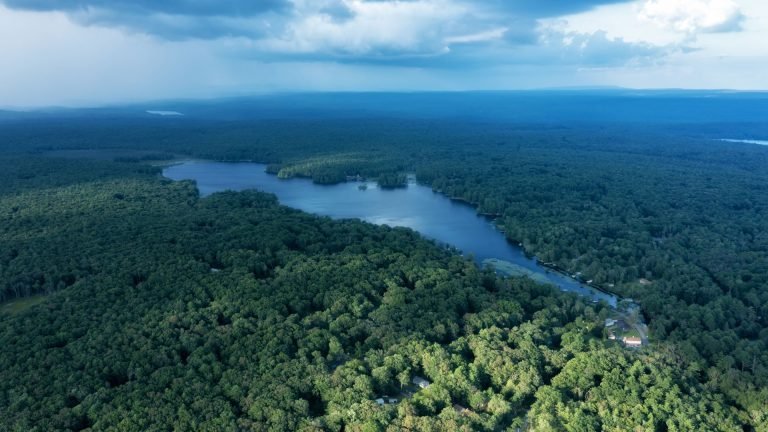 Brazil, Amazon Basin
